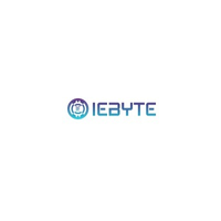 iebyte